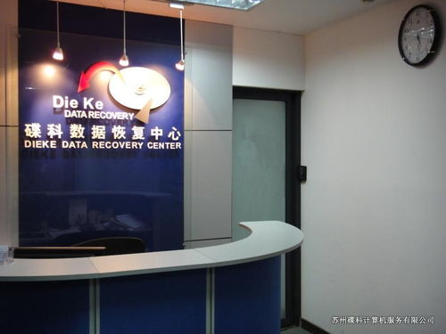 蘇州碟科計算機服務 多媒體設計的創新引擎